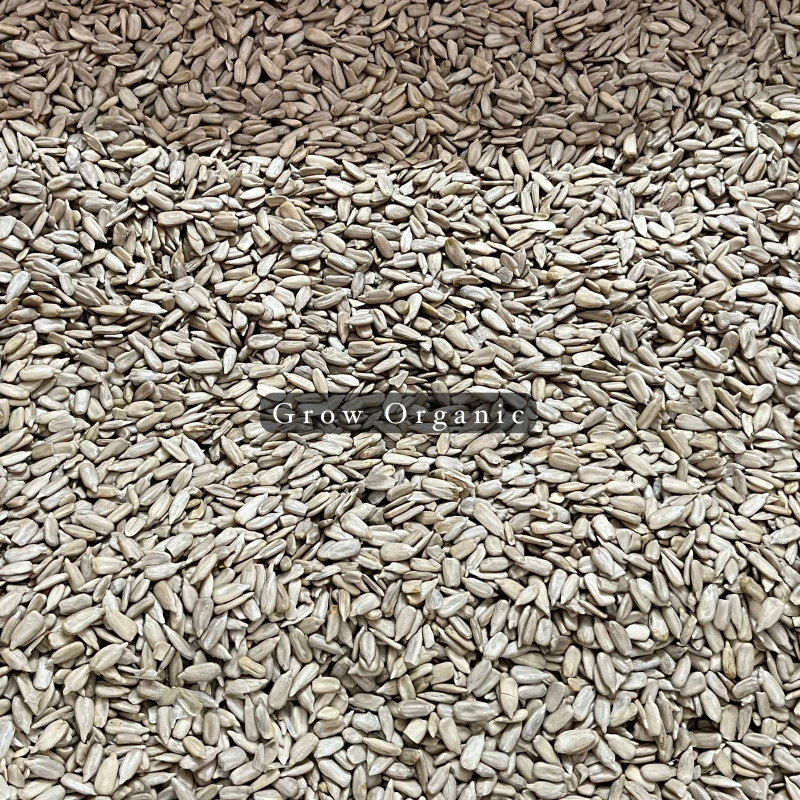 Roasted Sunflower Seed(সূর্যমুখী বিজ)