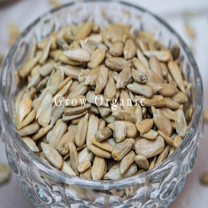 Roasted Sunflower Seed(সূর্যমুখী বিজ)
